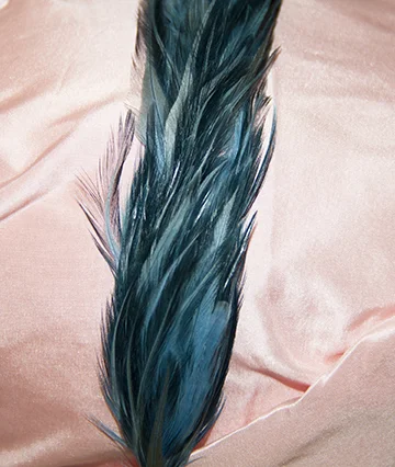 IMG_4321bluefeatherbanddetail-web.jpg