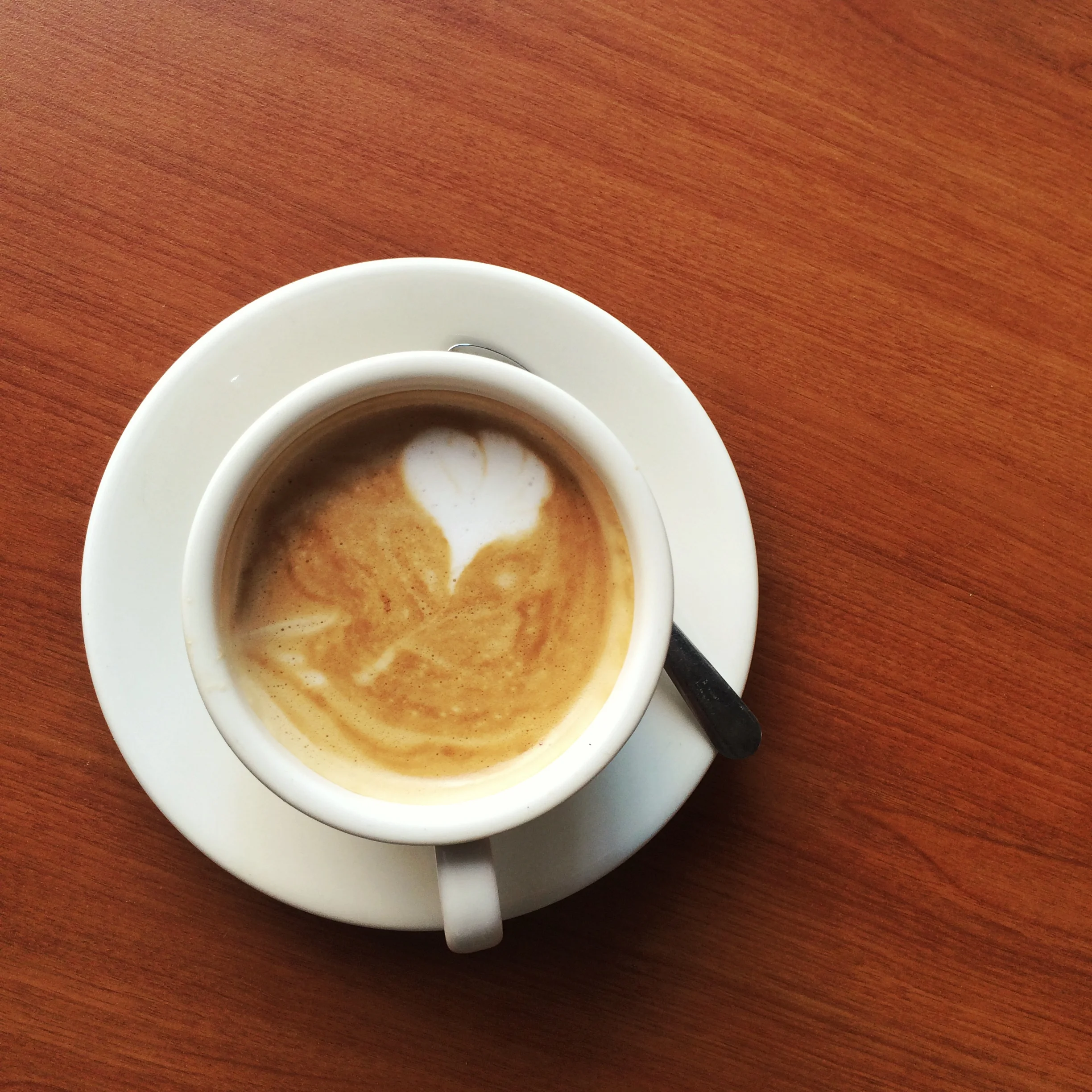 Cafe Con Leche by Finca Cialitos