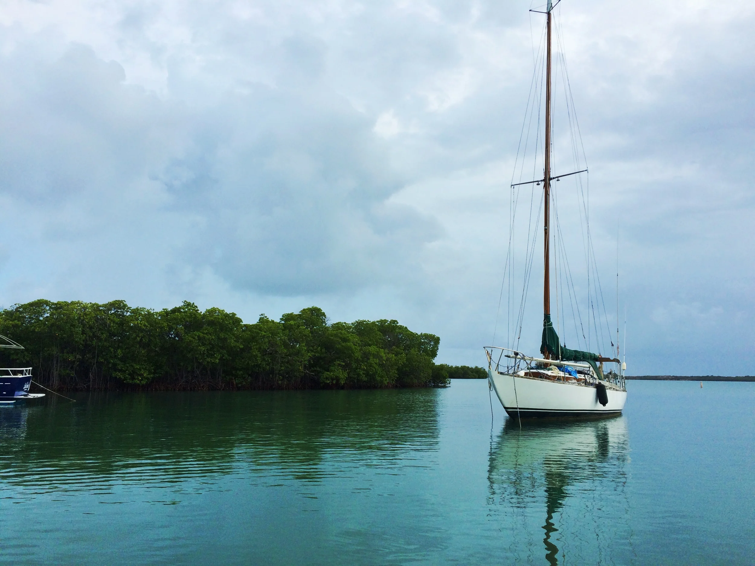 Sailboat Near The Mangrove Islands