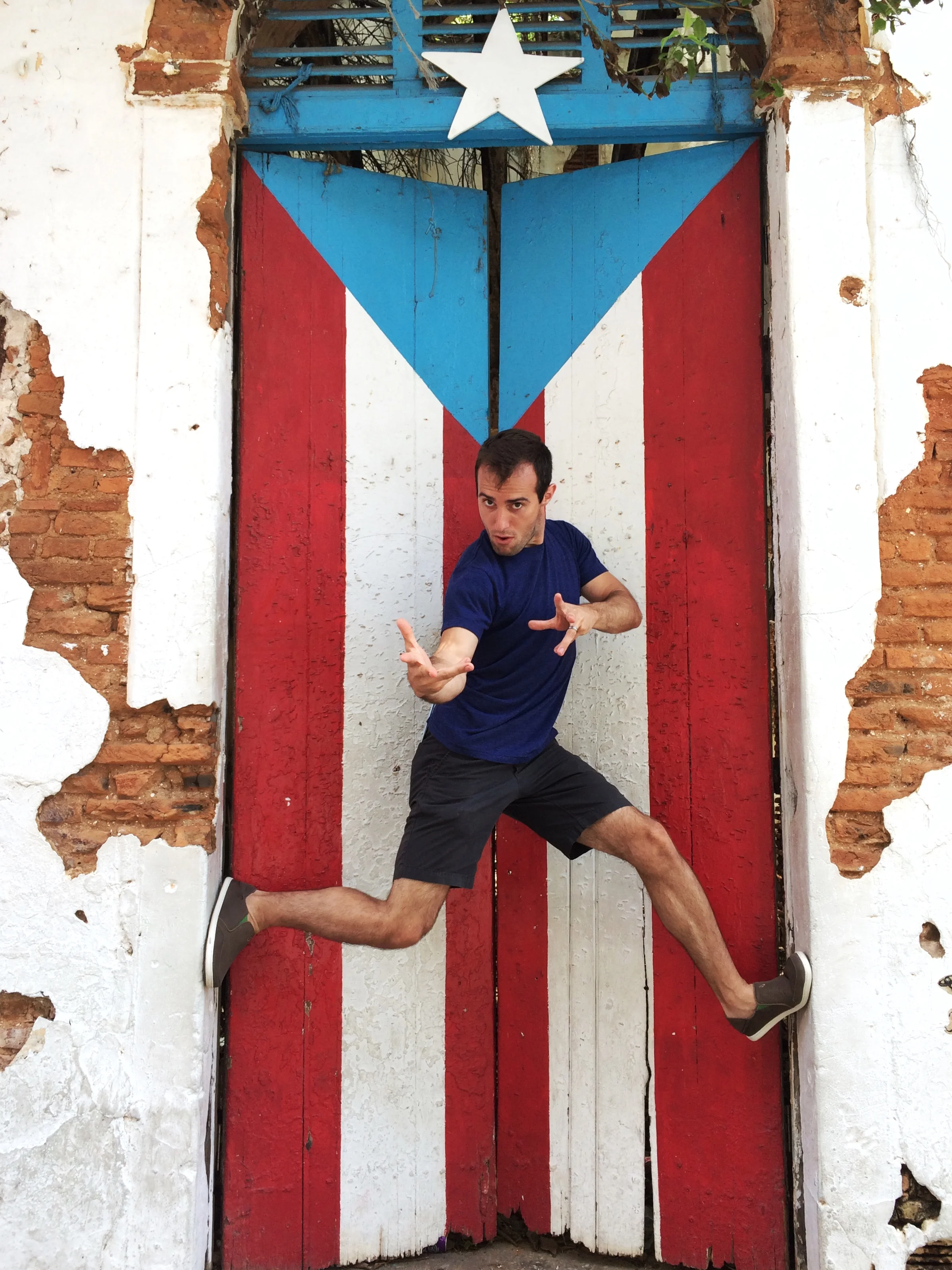 Puerto Rican Flag Door
