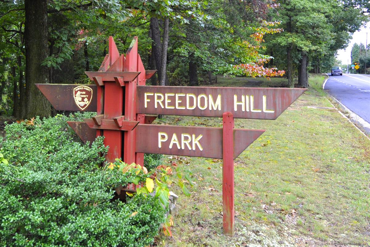 Amenity-Freedom Hill Park-_DSC1514.JPG