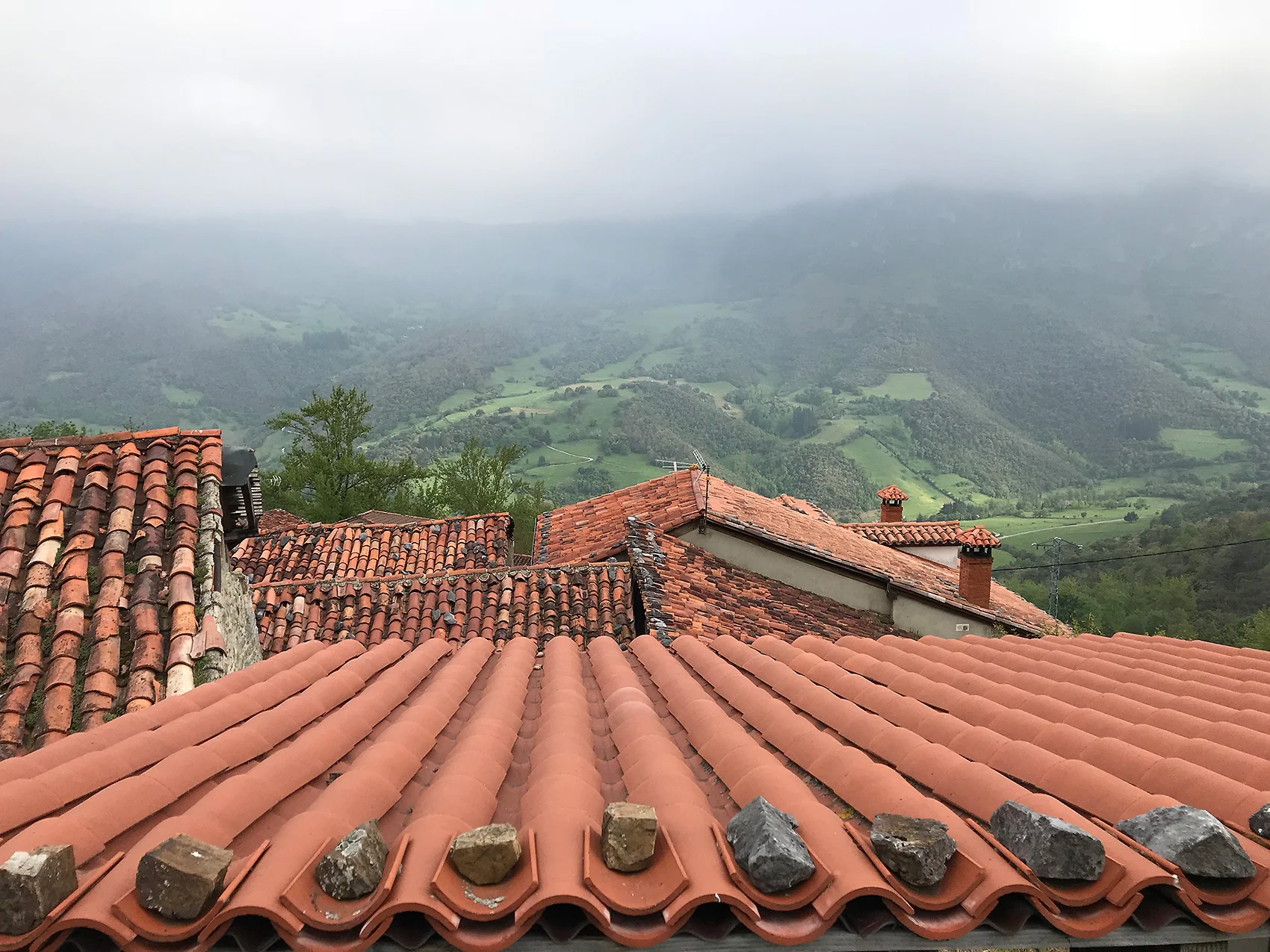 picos.jpg