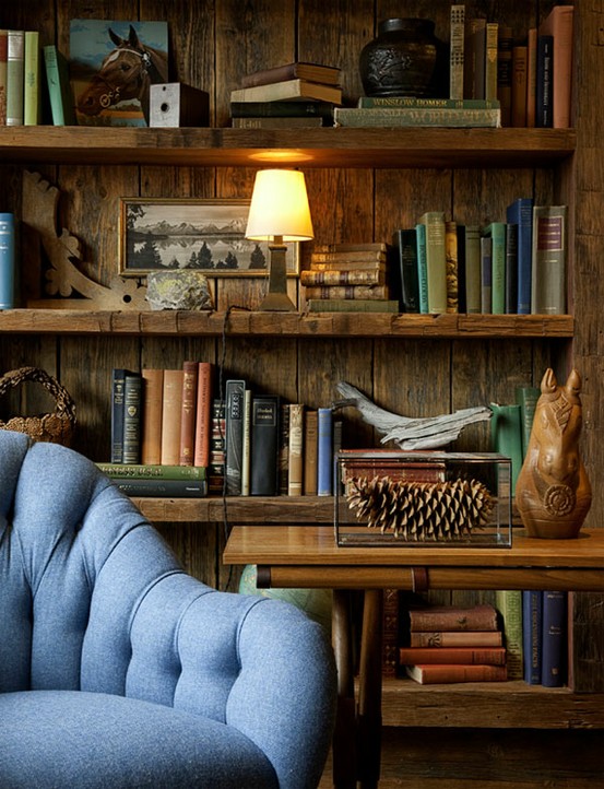 Bookshelf Inspiration.jpg