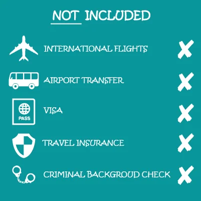 Not included-01.jpg