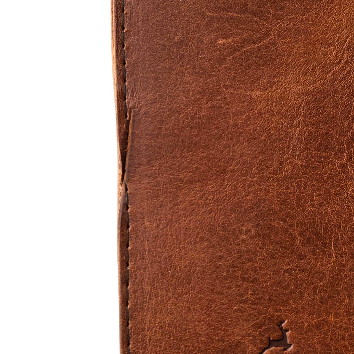 20260225_154206(1)-Photoroom.png (Copy)