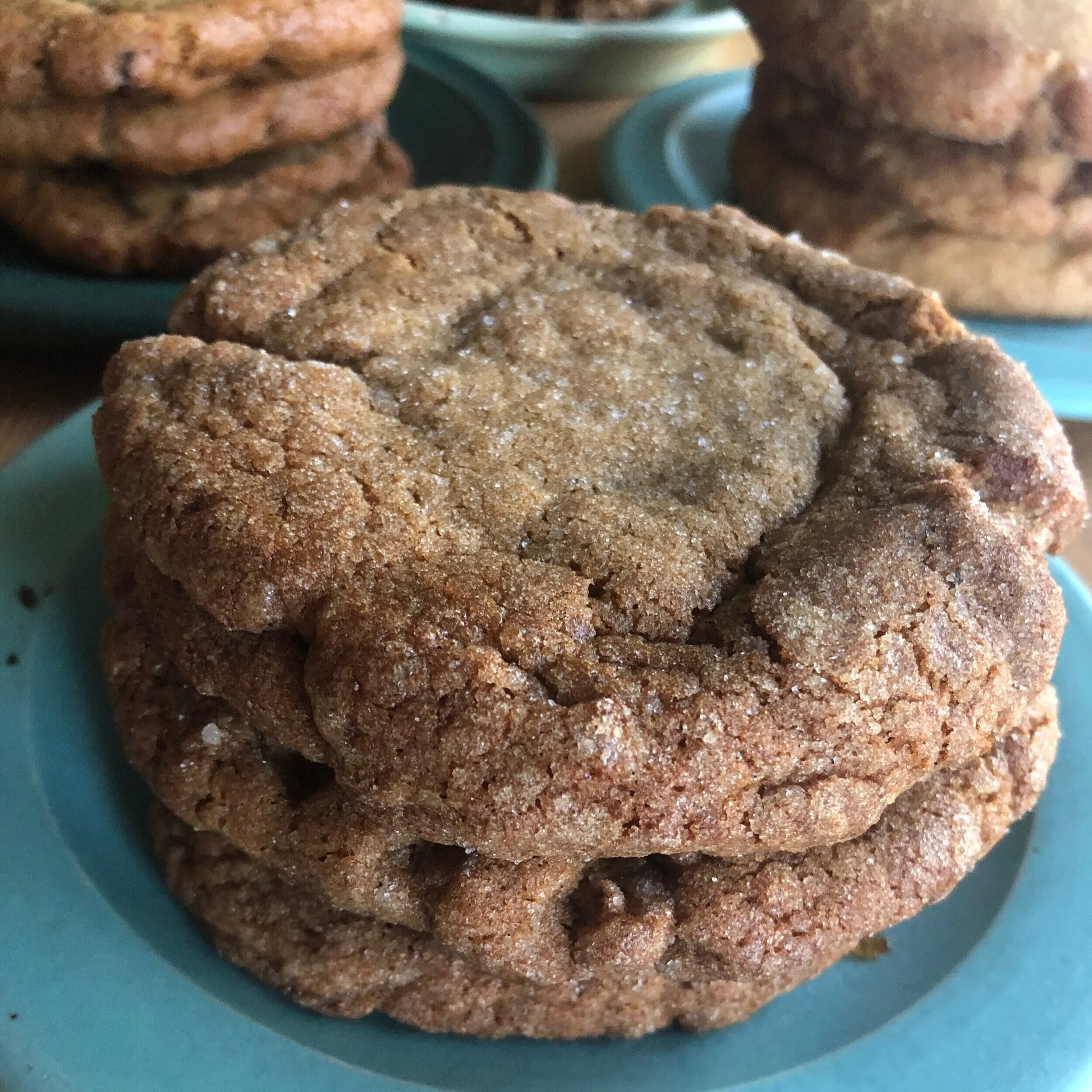 Ginger Molasses - 6 pack