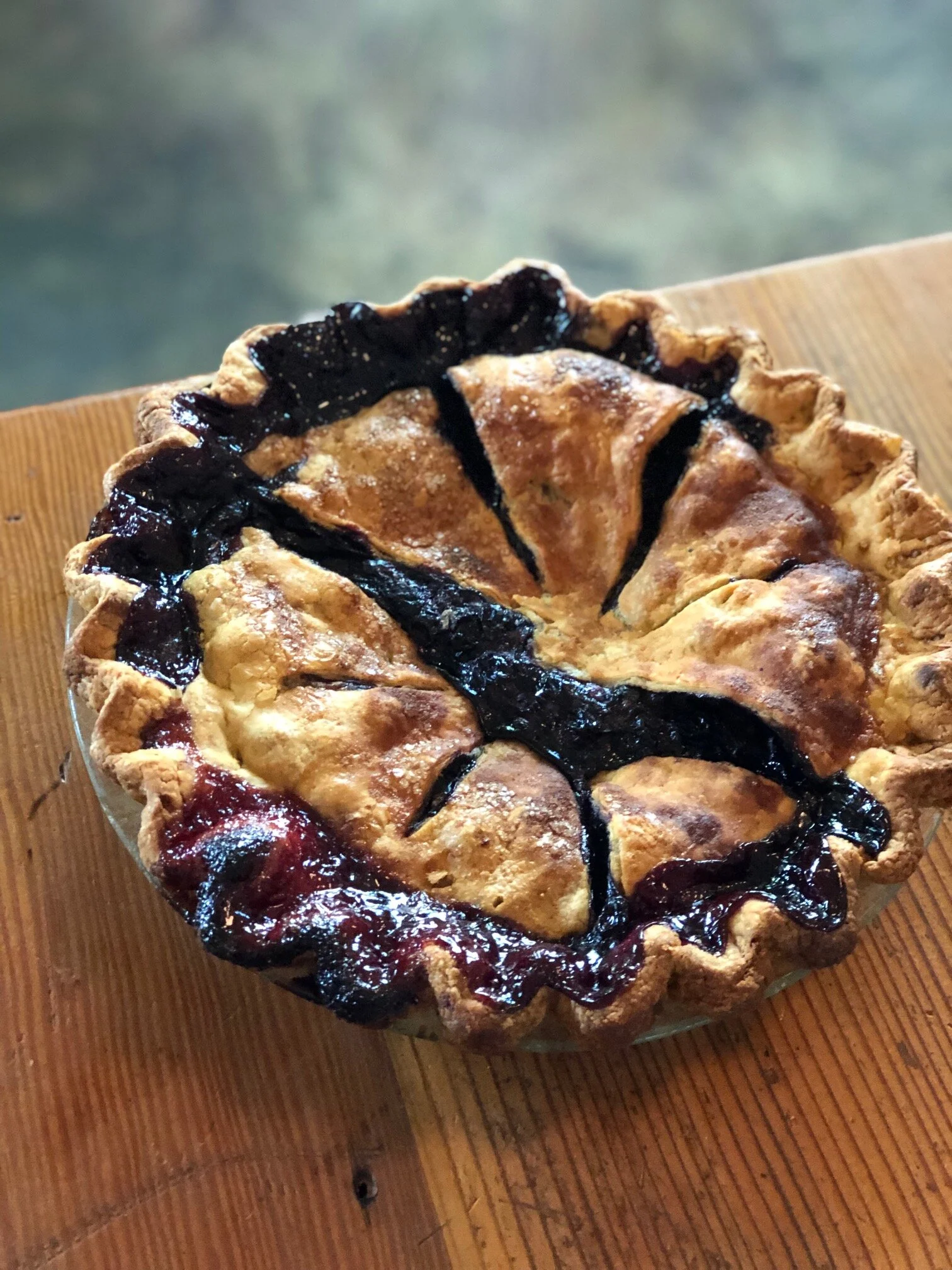 BlueberryPie-IMG_1144.jpg