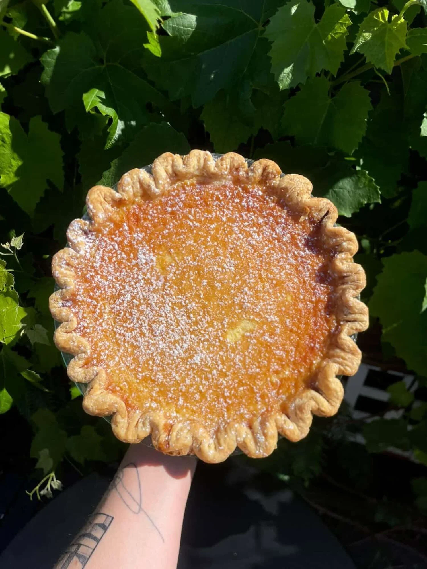 Lemon Chess bringing the sunny vibes 🌞

📷 @dreamhousepdx