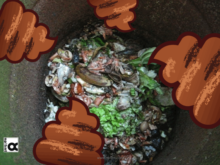 From the land to the table to the land to the table to...........