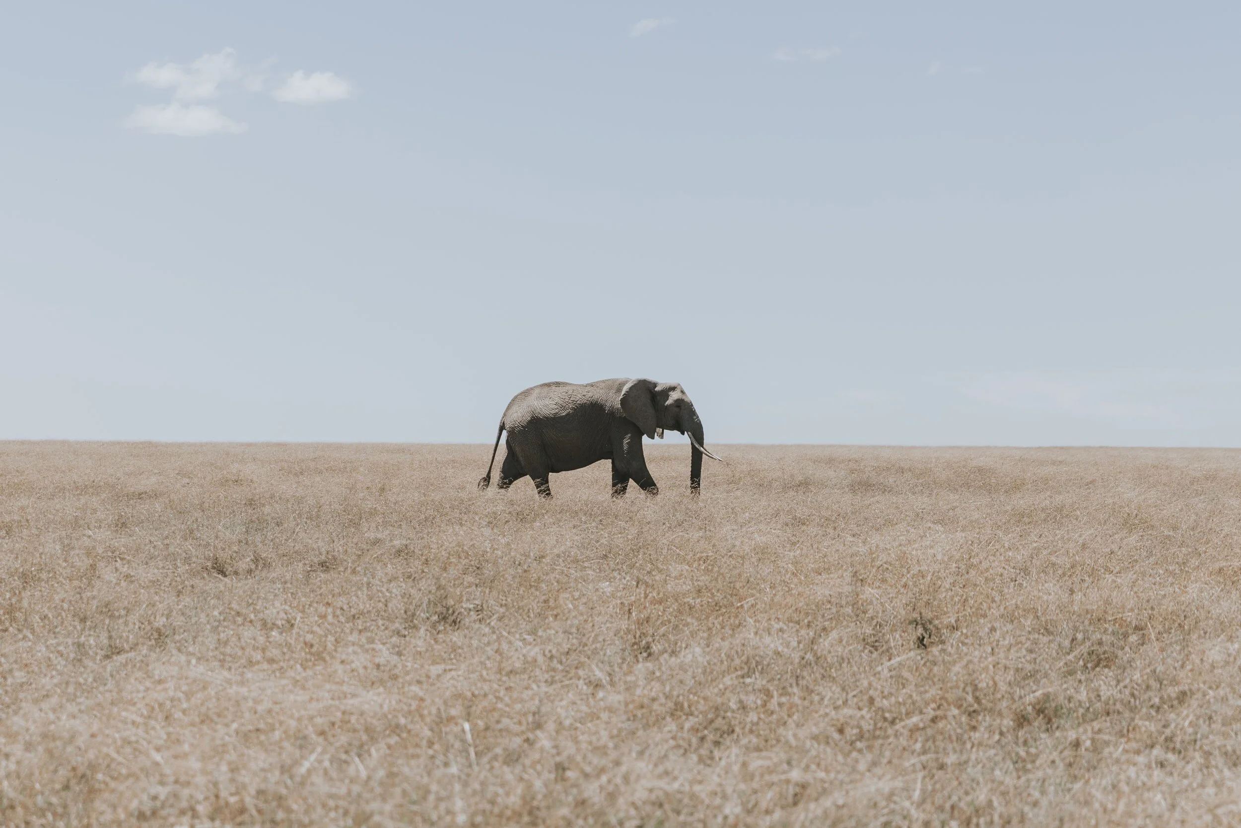 unsplash-image-2cNPDxcnx0w.jpg