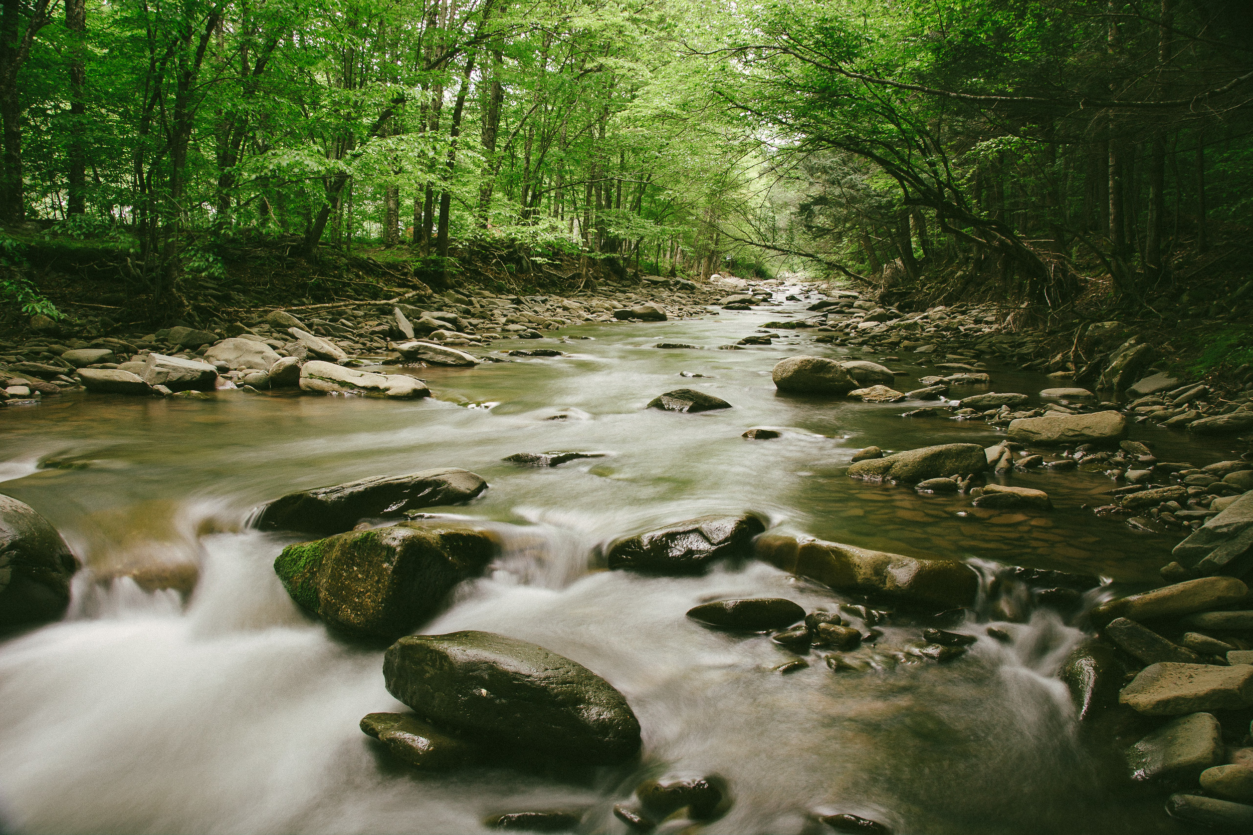 stream-1.jpg