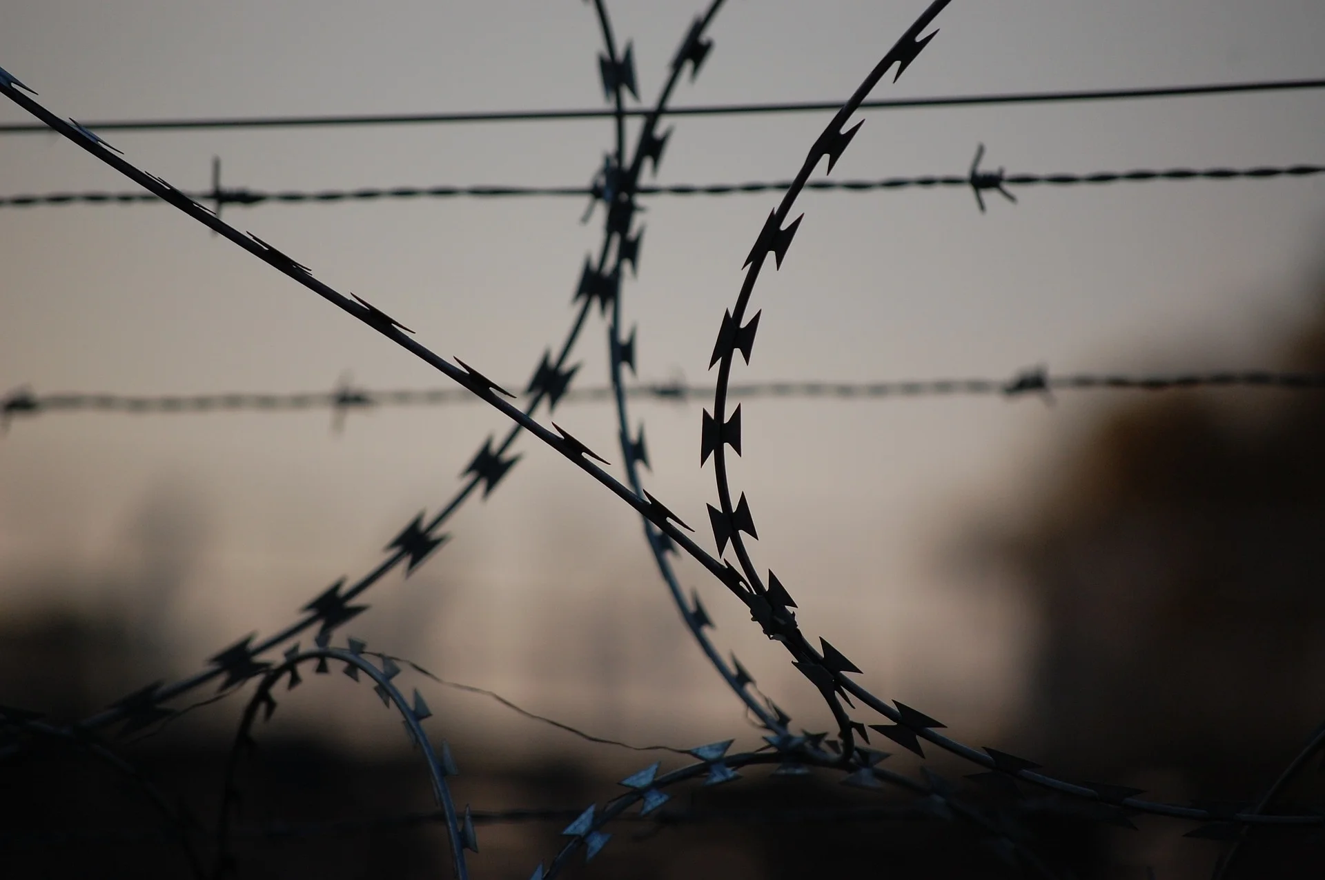 barbed-wire-765484_1920.jpg