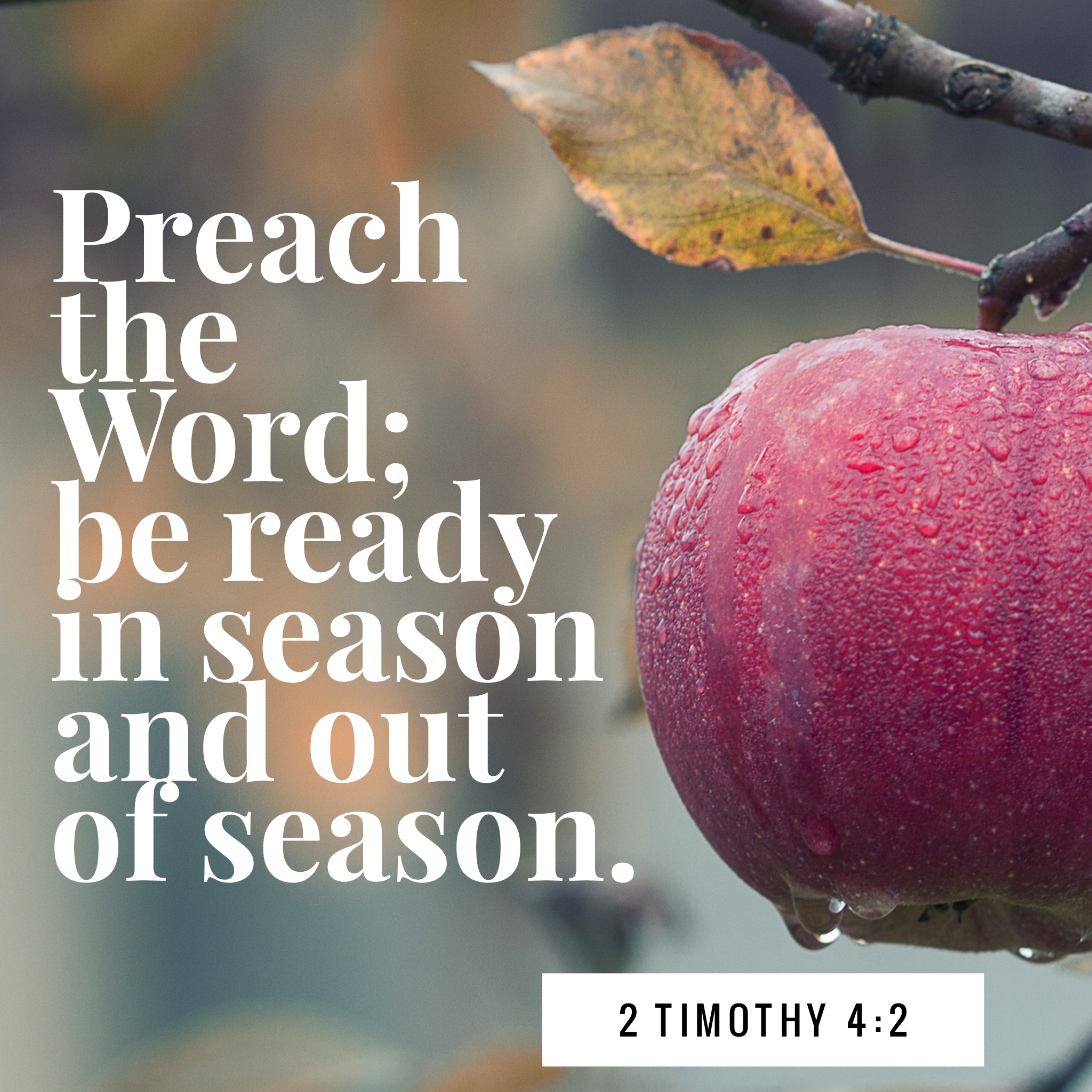 Bible Study Essentials -- 2 Timothy 4:2 — Redeeming Life Church