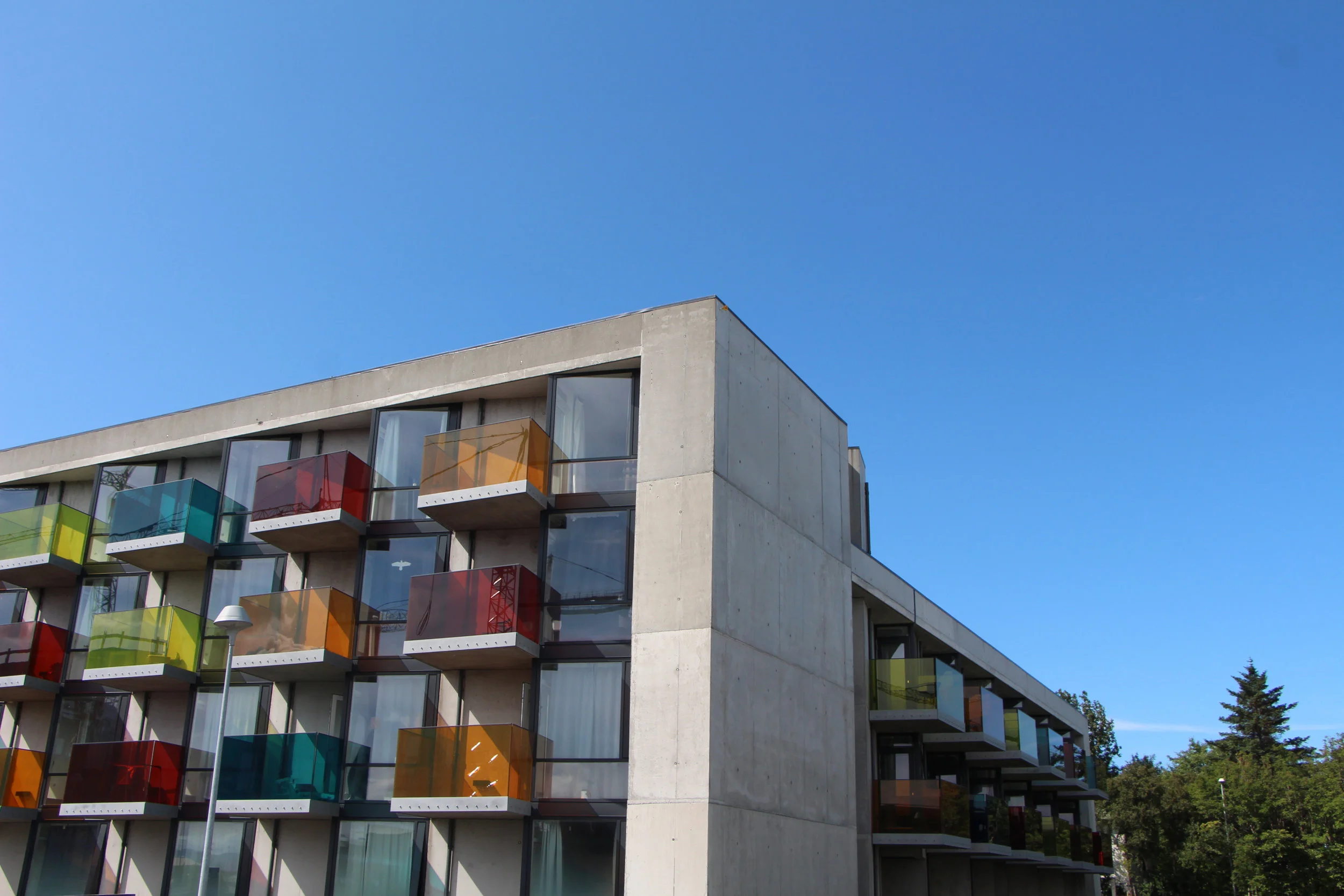 IMG_4998 - photoshhop.JPG