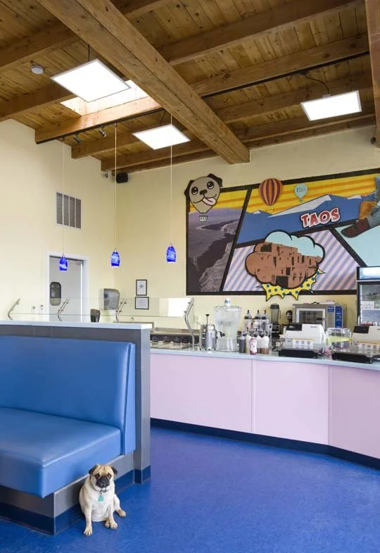  Ziggy is proud of his newly renovated establishment 