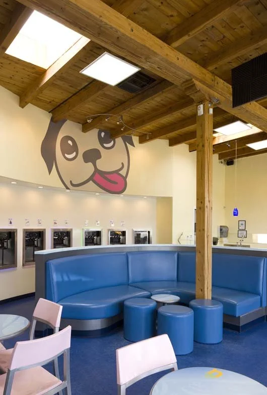  Arced seating defines the space and separates the frozen yogurt dispensers from dining 