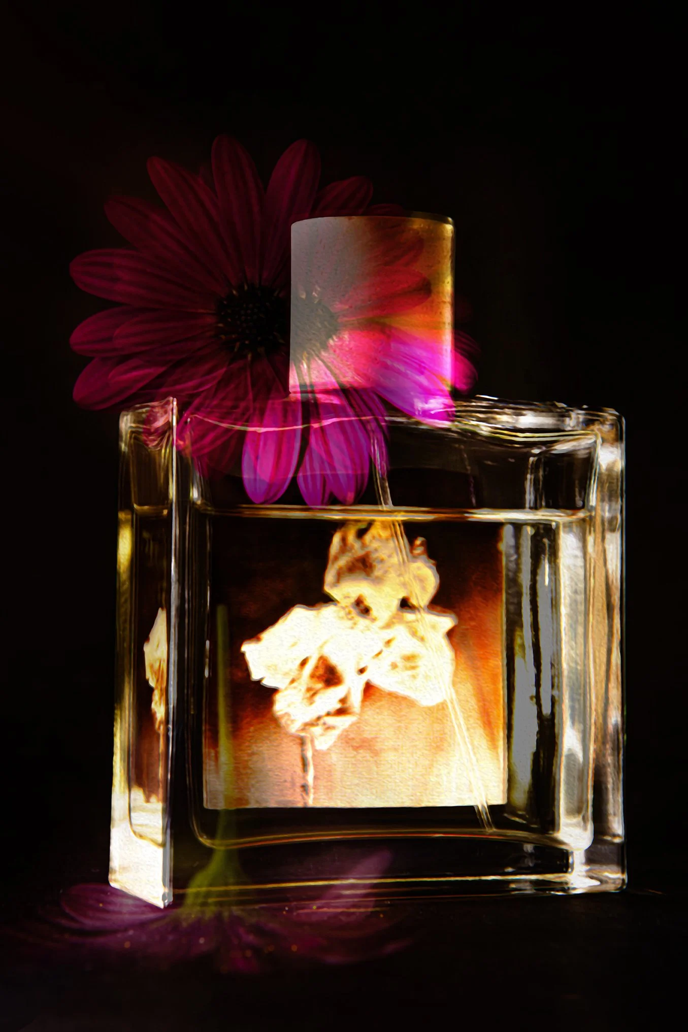 purfumeproductshoot.jpg