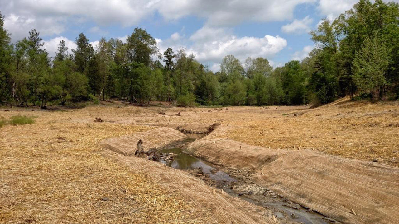 Stream 6.jpg