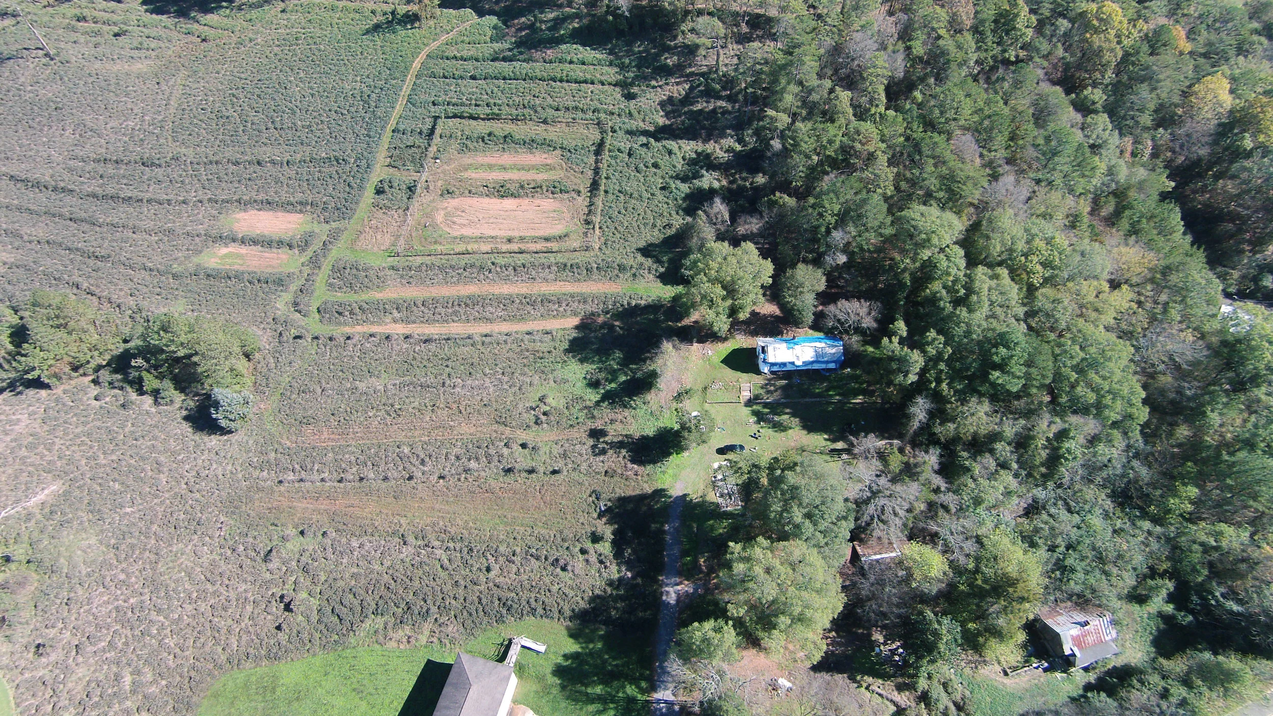 DJI00297_corr.jpg
