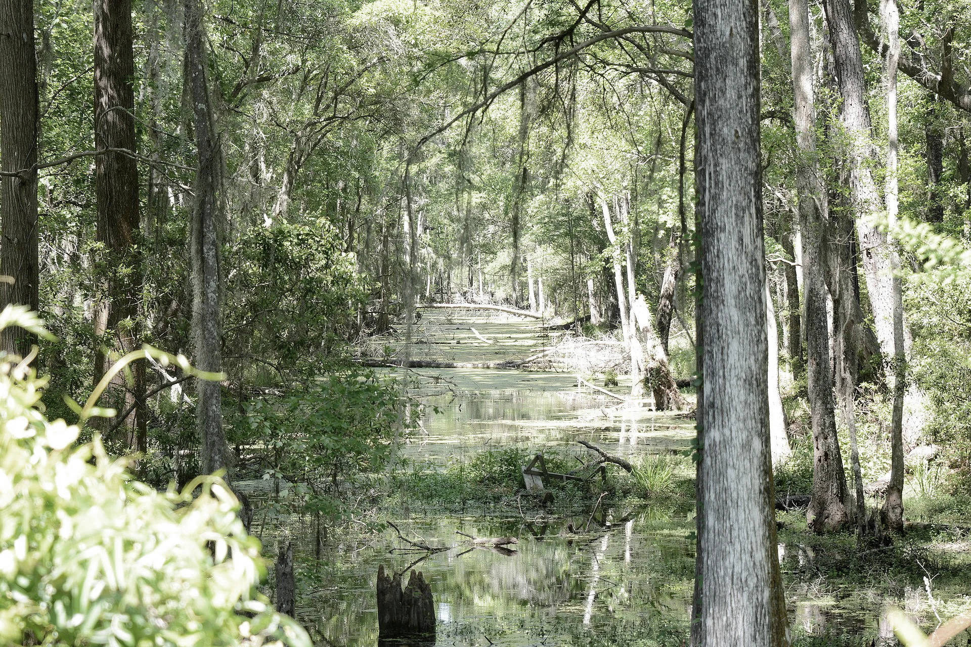 brunswick canal