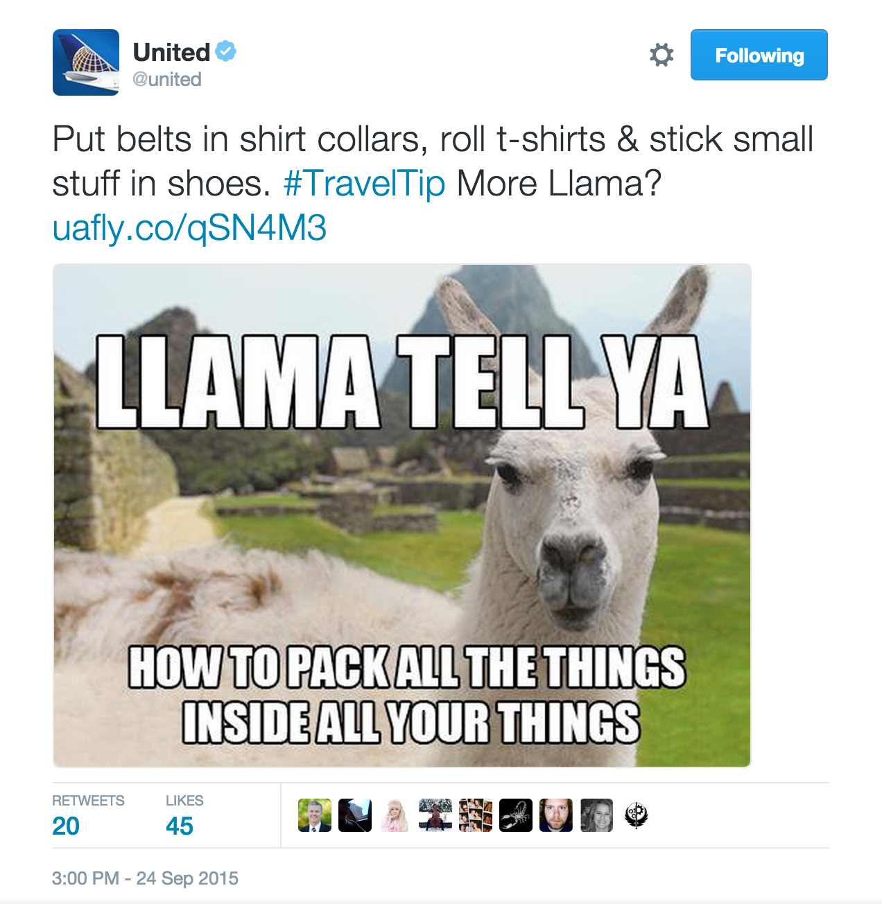 llama tell ya twitter.png