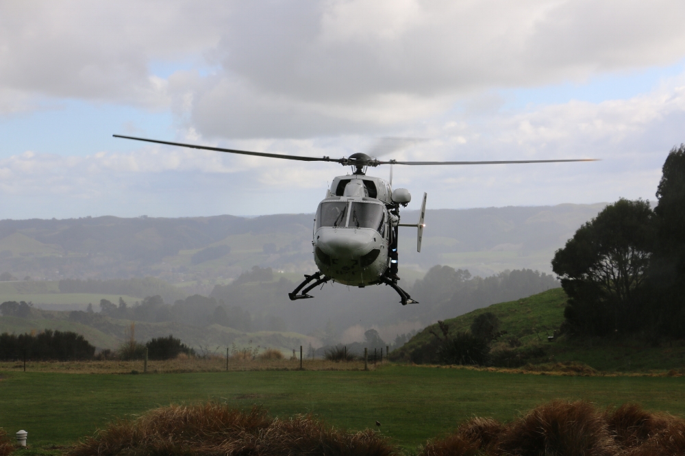 A stylish way to arrive