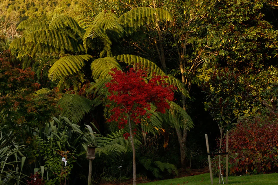 autumn1.jpg