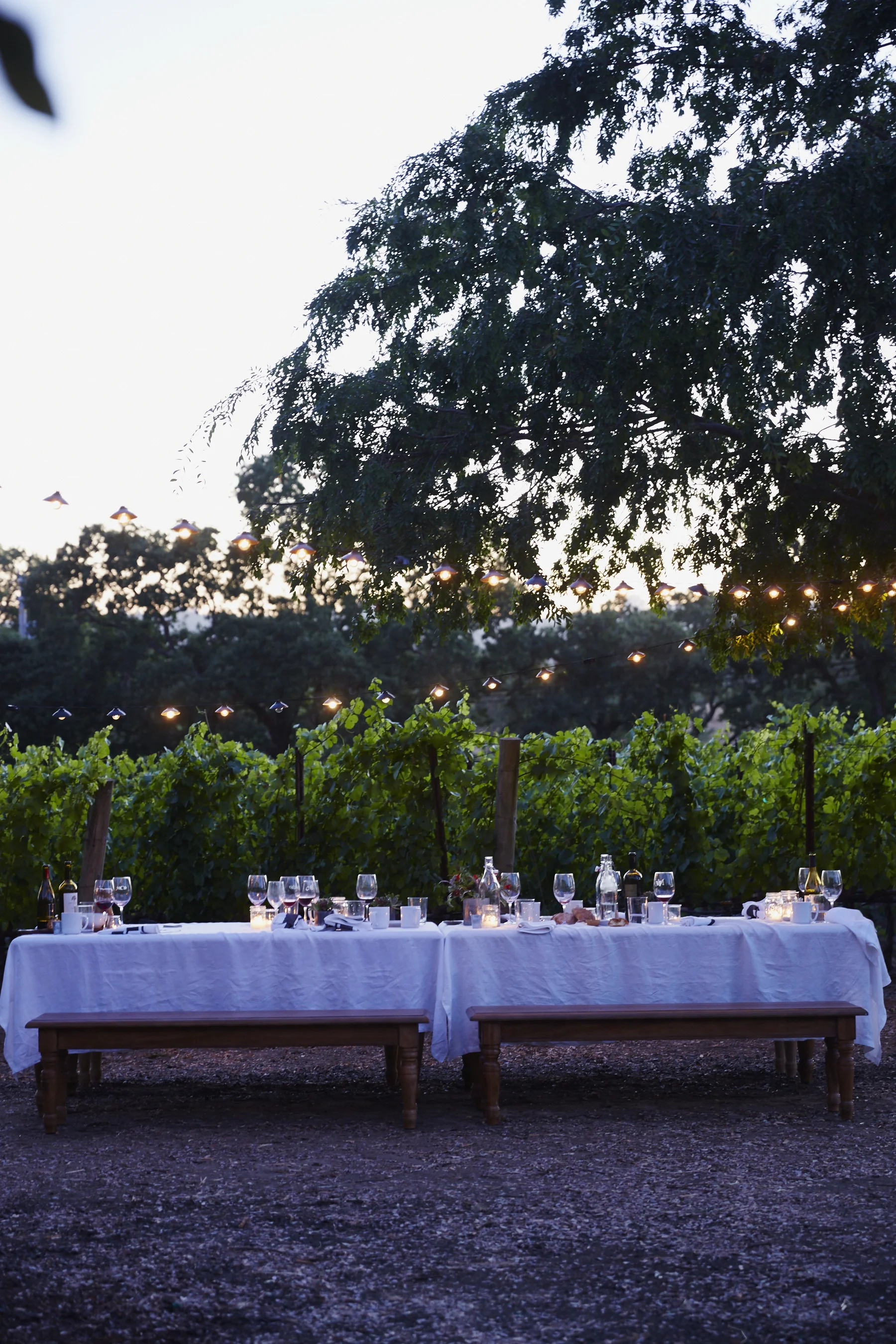 20_overalldinnertableview_G72A8635.jpg
