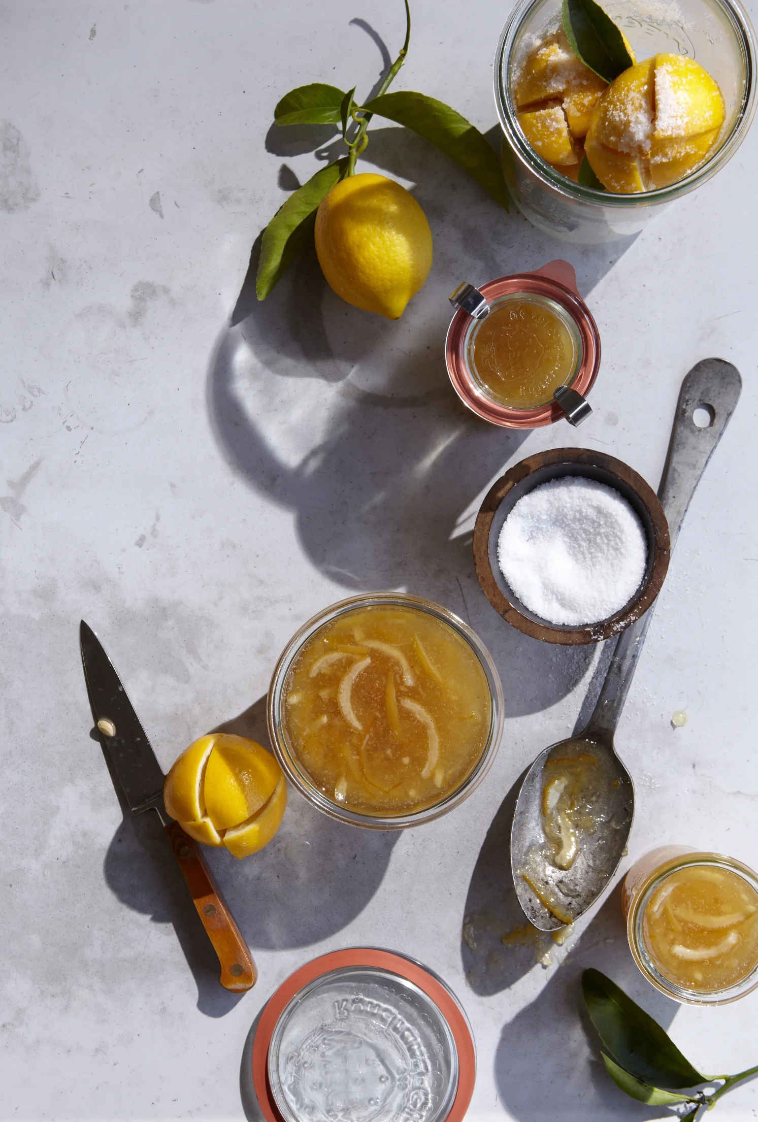 5_LemonPreserving_v10-357.jpg
