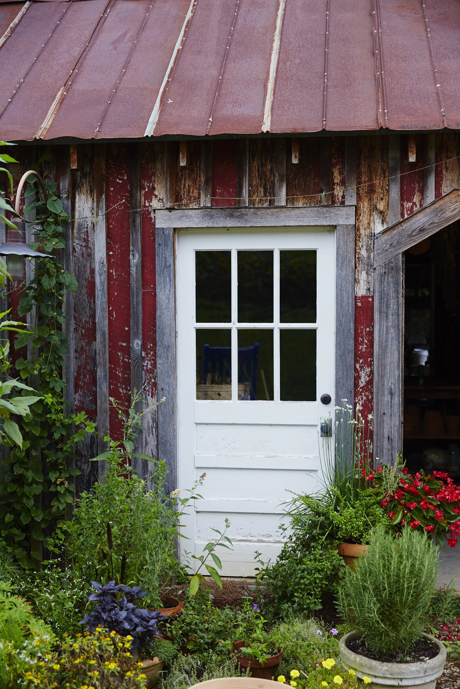 mastergardener_johncoykendall_CAN_8500.jpg