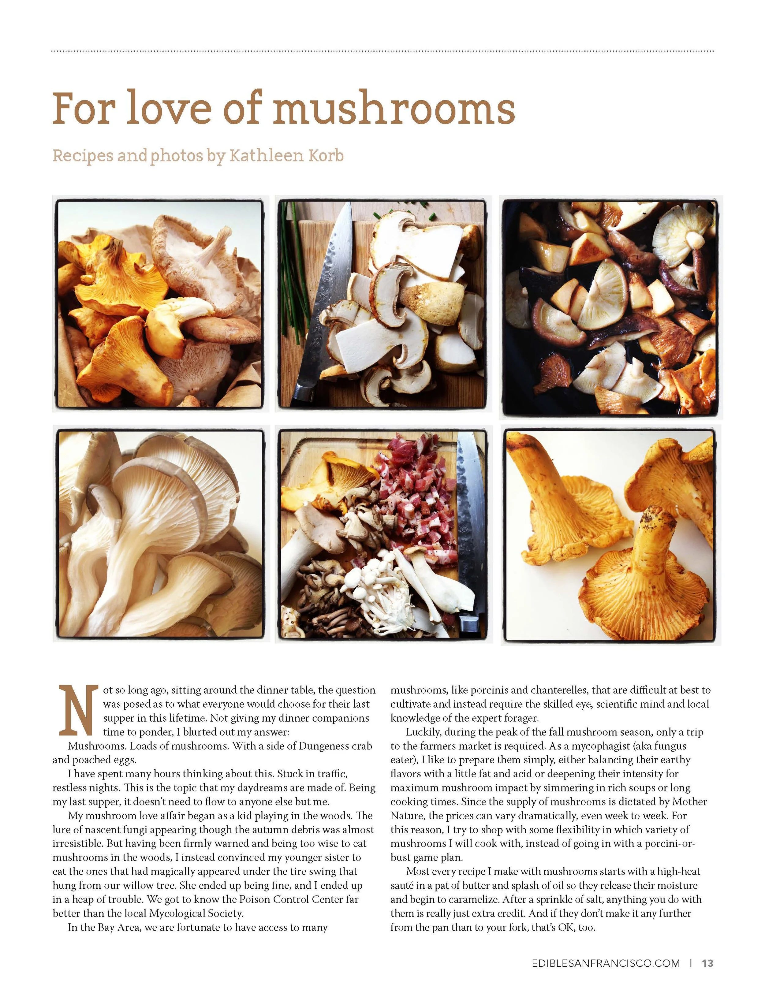 esf_fall13_mushrooms_high_res 1.jpg