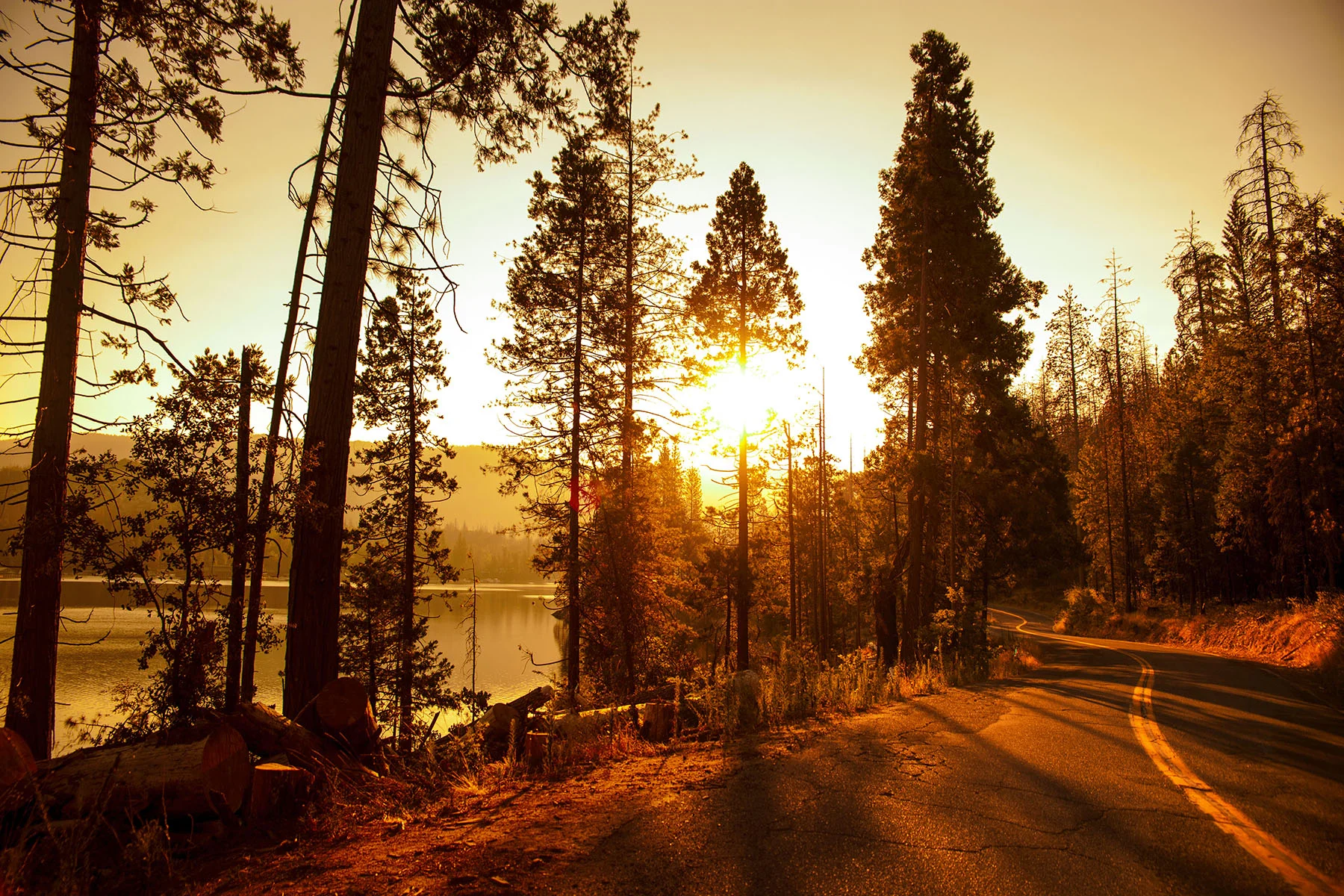 YOSEMITE NATIONAL PARK