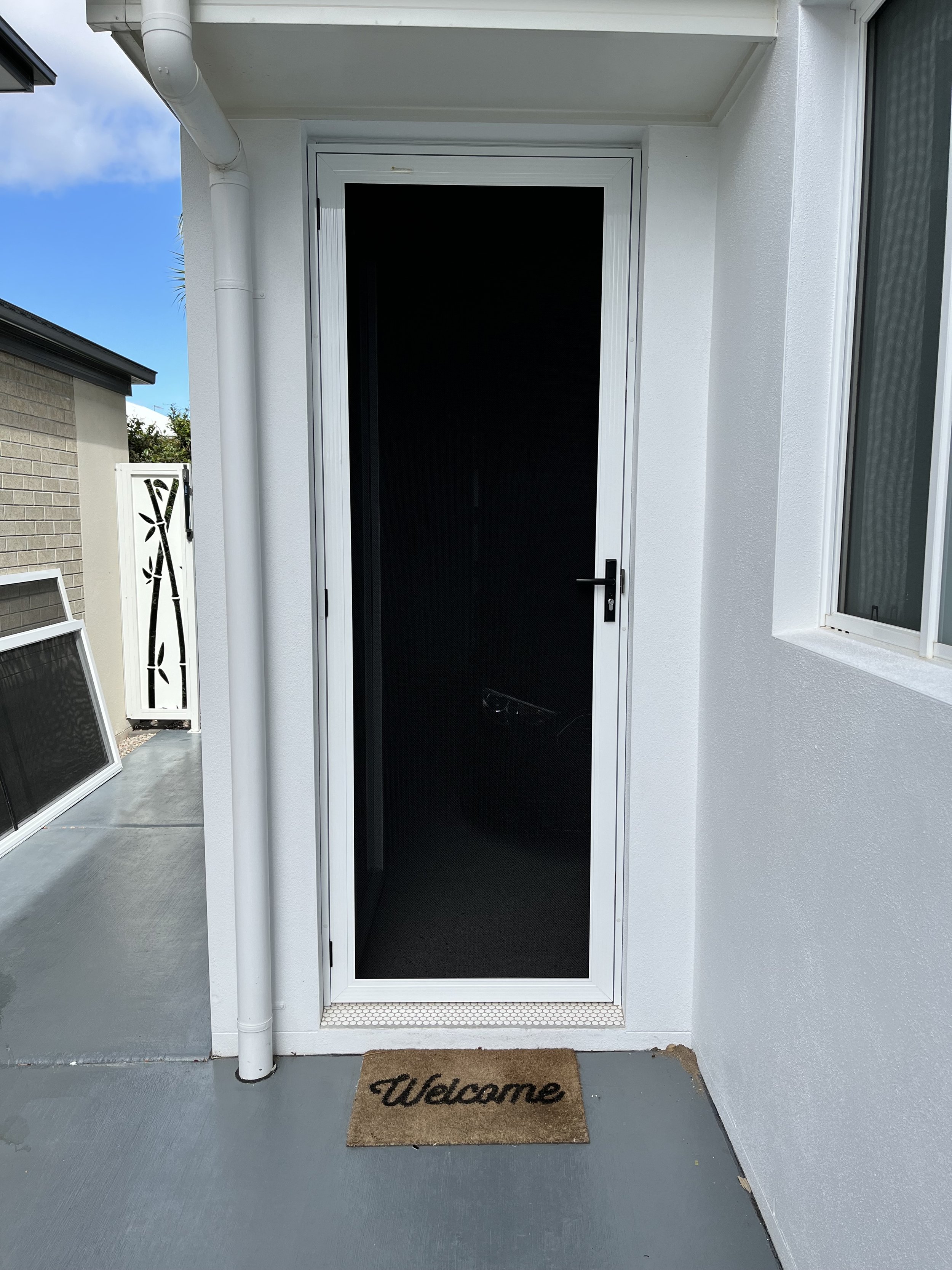 SV hingdoor with buildout.JPG