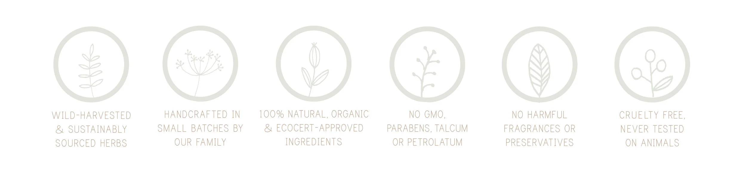 Website Banner ICONS.jpg