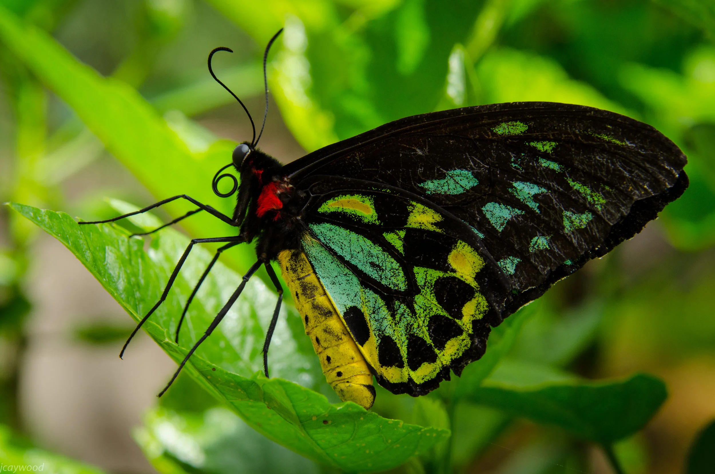 20140606-DSC_0138.jpg
