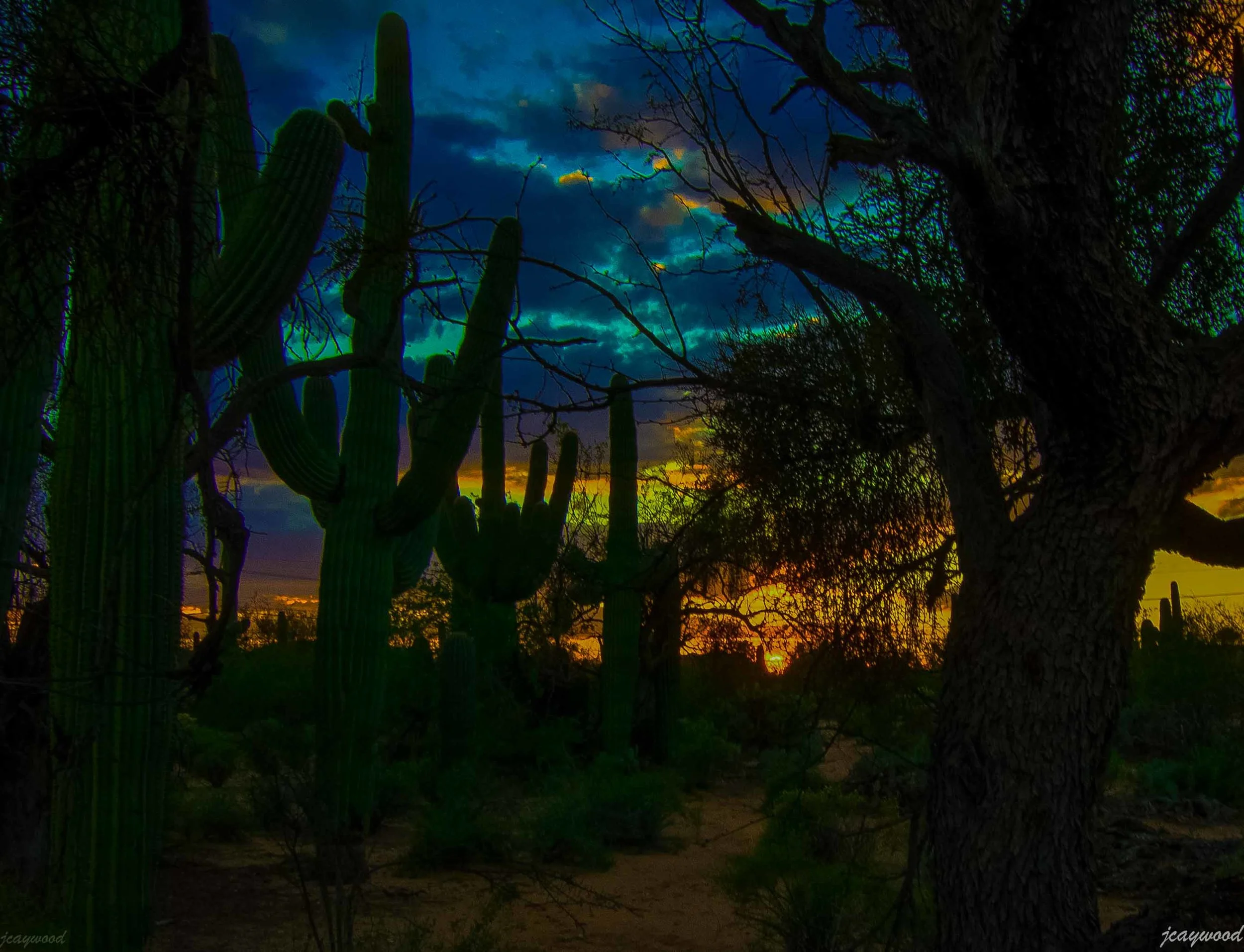 Sunset in the desert-2-2.jpg
