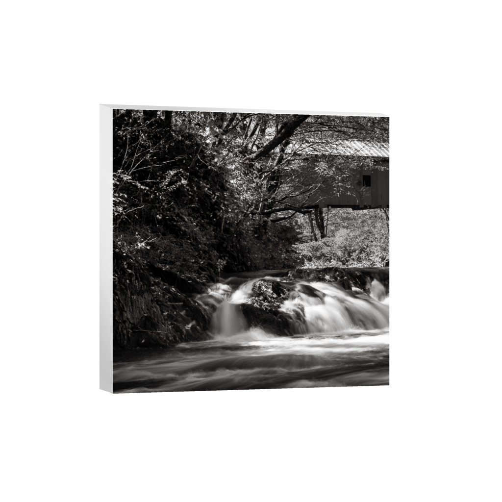 canvas_square_440_0_1767_1767_0_false_ffffff_0_0.png