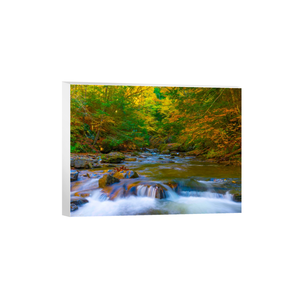 canvas_rectangle3_4_330_0_5354_4016_0_false_ffffff_0_0.png