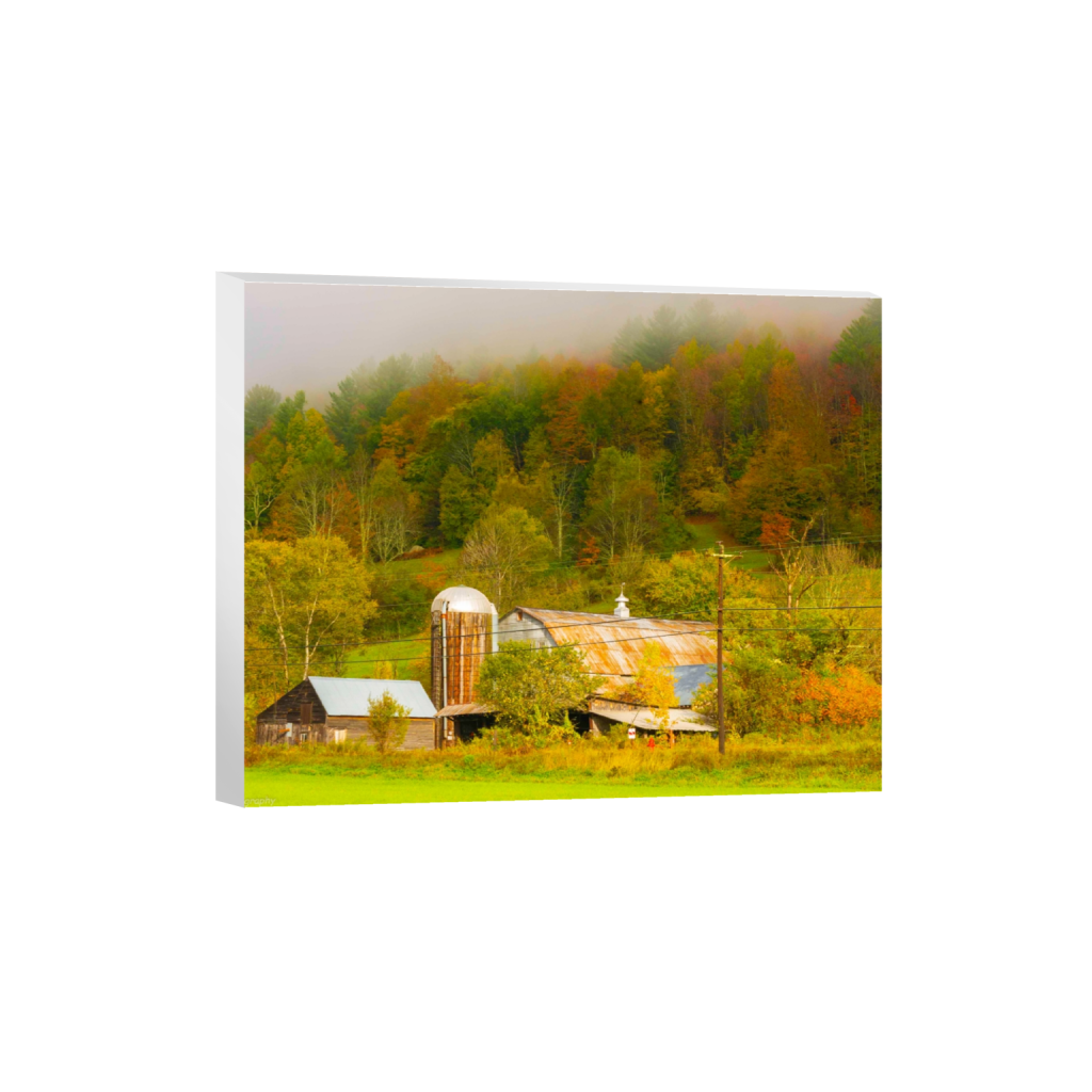 canvas_rectangle4_5_337_0_3401_2721_0_false_ffffff_0_0.png