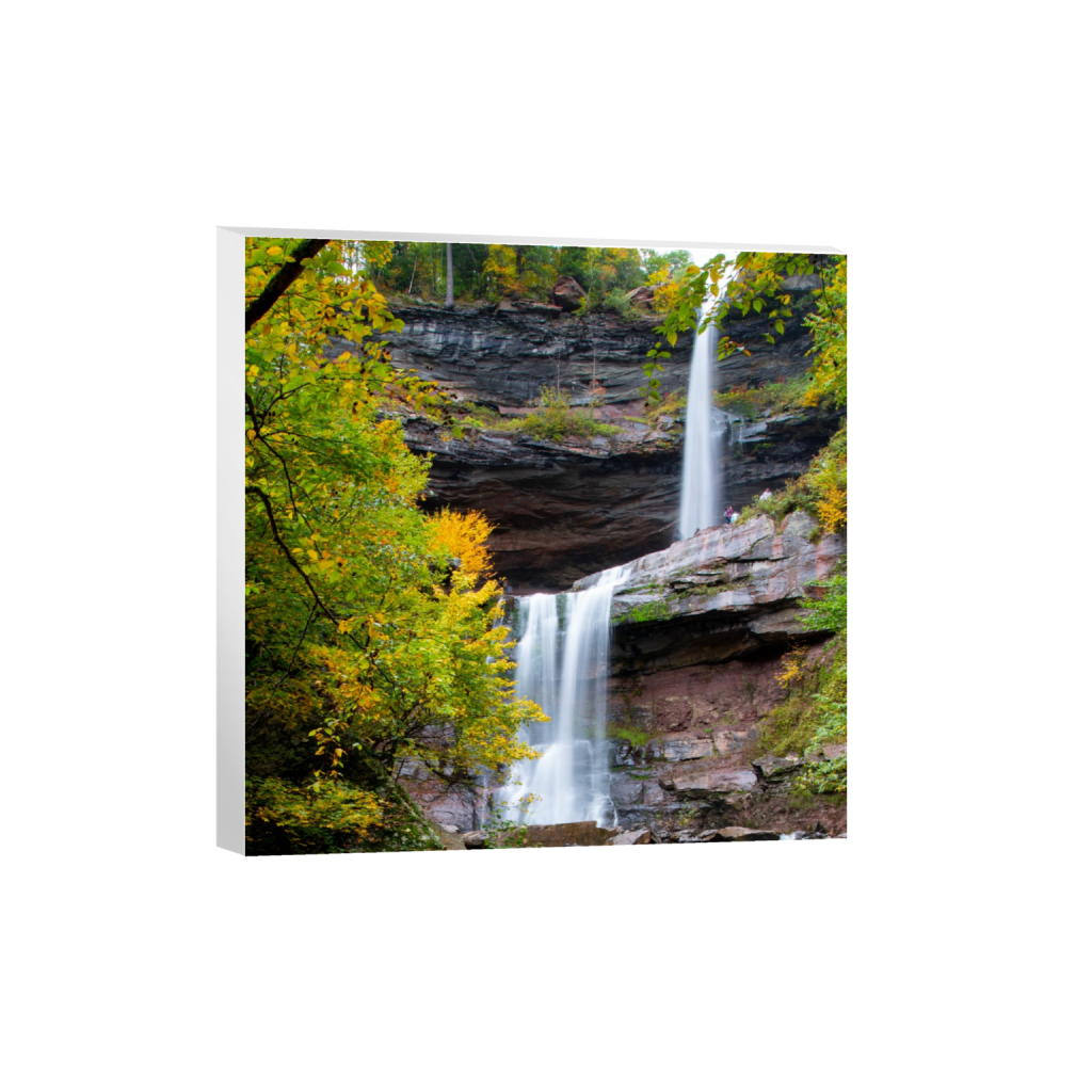 canvas_square_1265_0_3669_3669_0_false_ffffff_0_0.png
