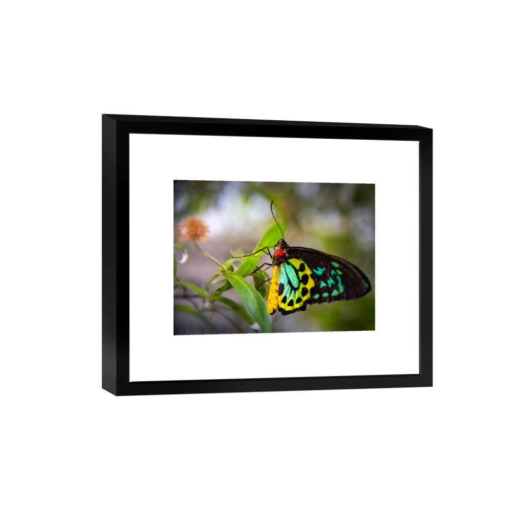 smartframe_rectangle3_4_0_170_6804_5103_0_false_ffffff_0_0.png