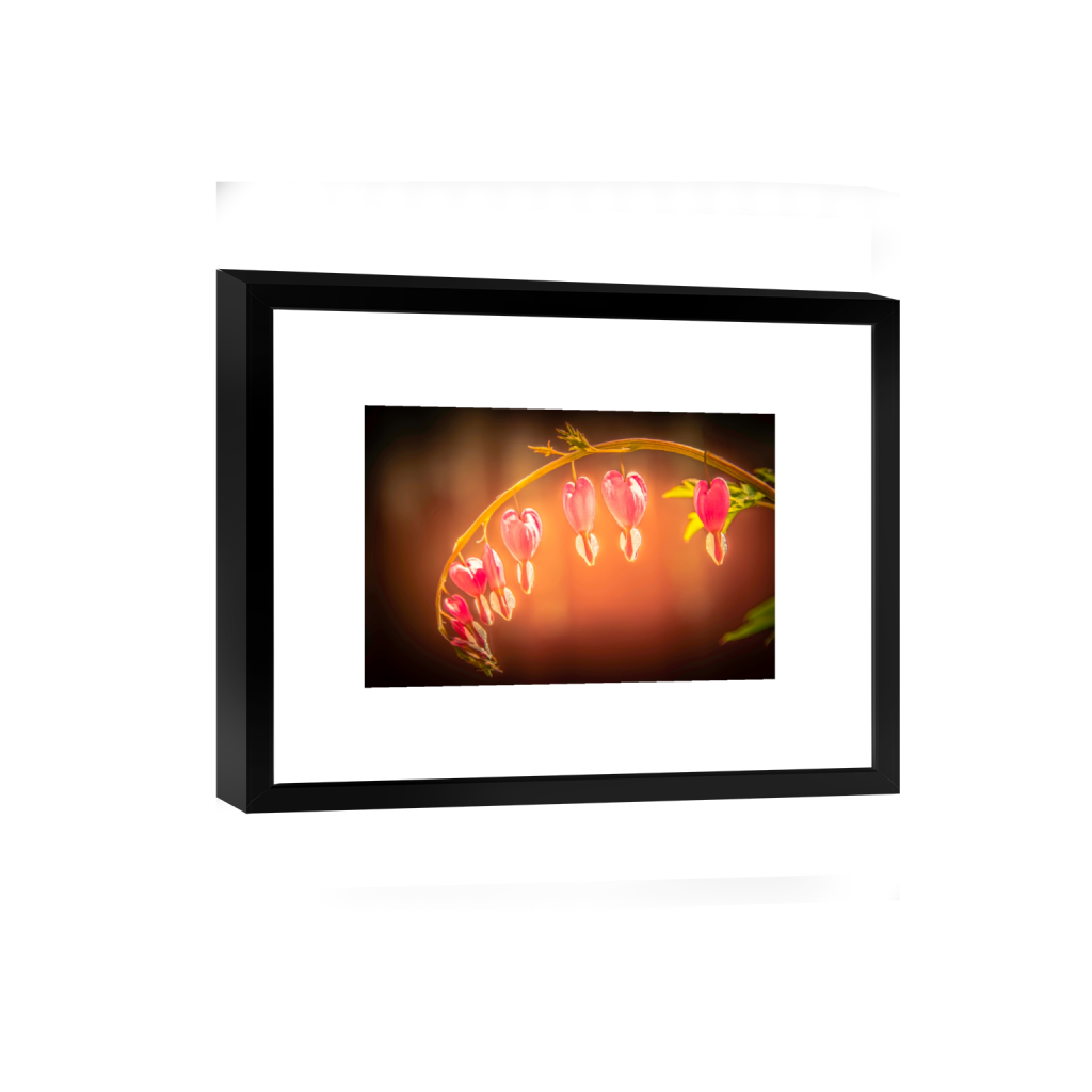 smartframe_rectangle2_3_0_1_4132_2754_0_false_ffffff_0_0.png
