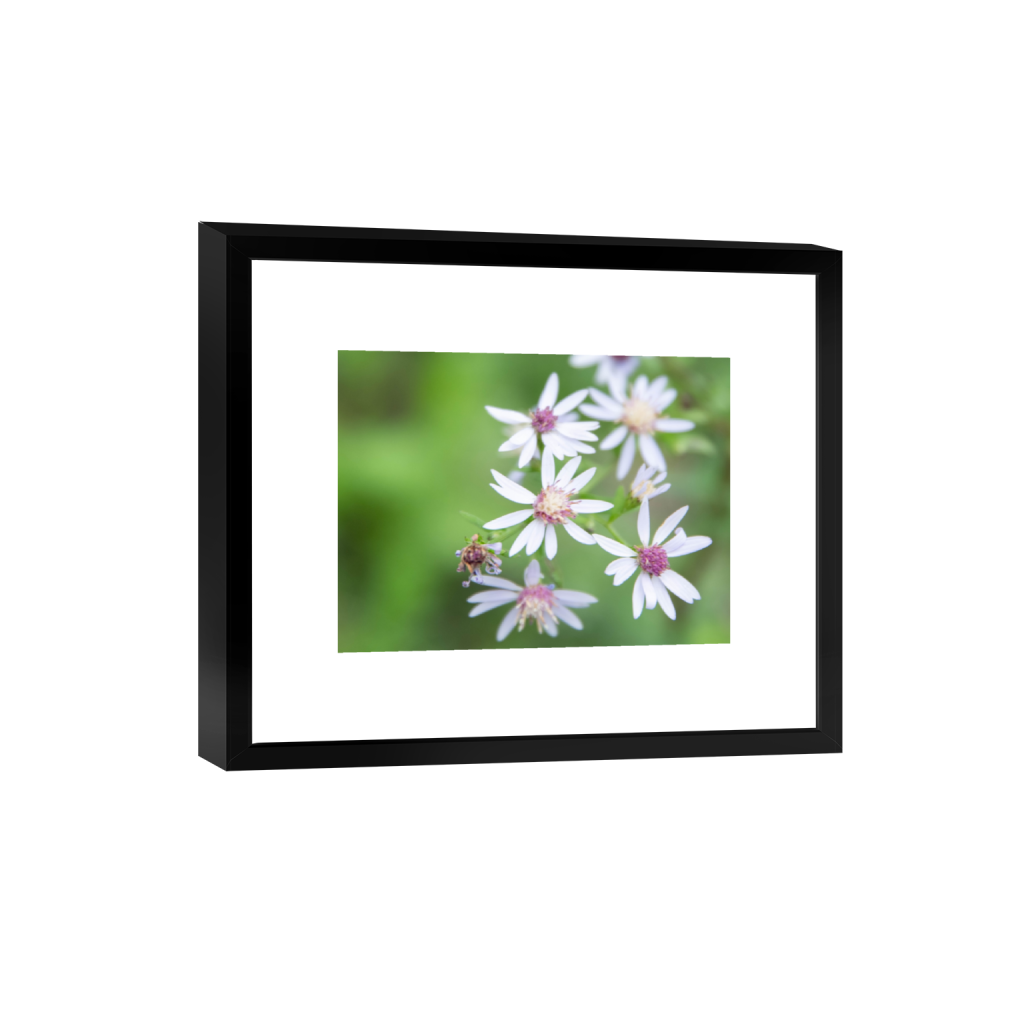 smartframe_rectangle3_4_0_468_3751_2813_0_false_ffffff_0_0.png