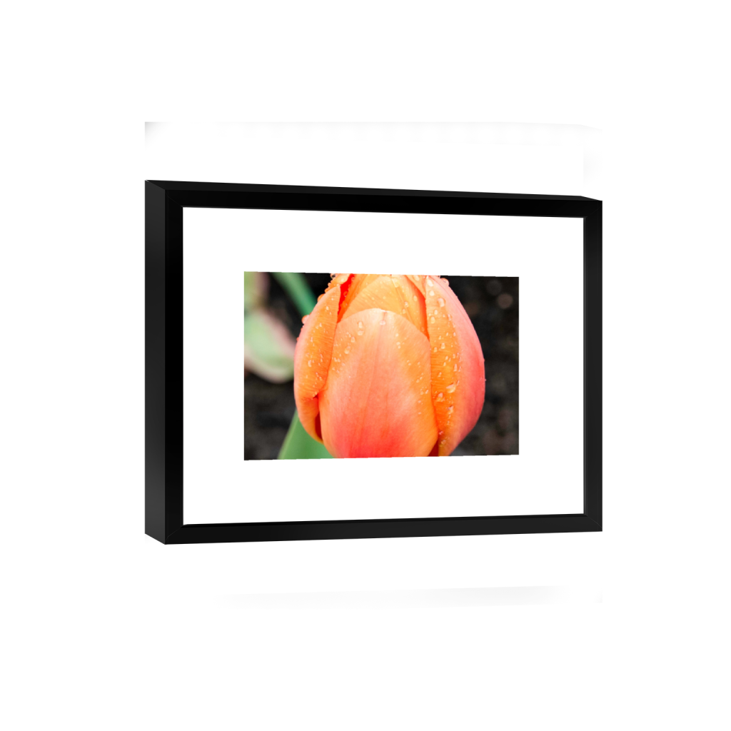 smartframe_rectangle2_3_0_481_2890_1926_0_false_ffffff_0_0.png