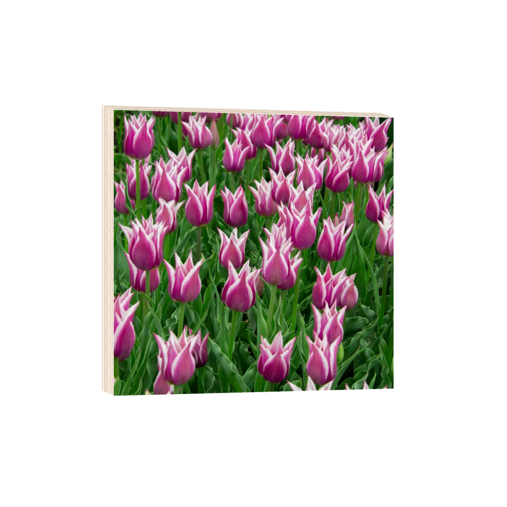 woodprint_square_0_0_4418_4418_0_false_ffffff_0_0.png