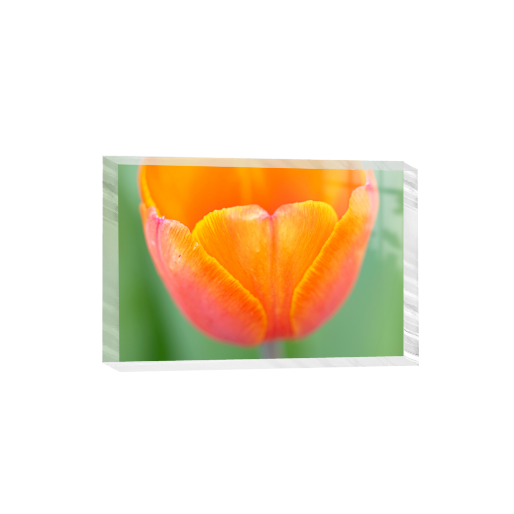 acrylicdesktopprint_rectangle2_3_0_775_4653_3102_0_false_ffffff_0_0.png