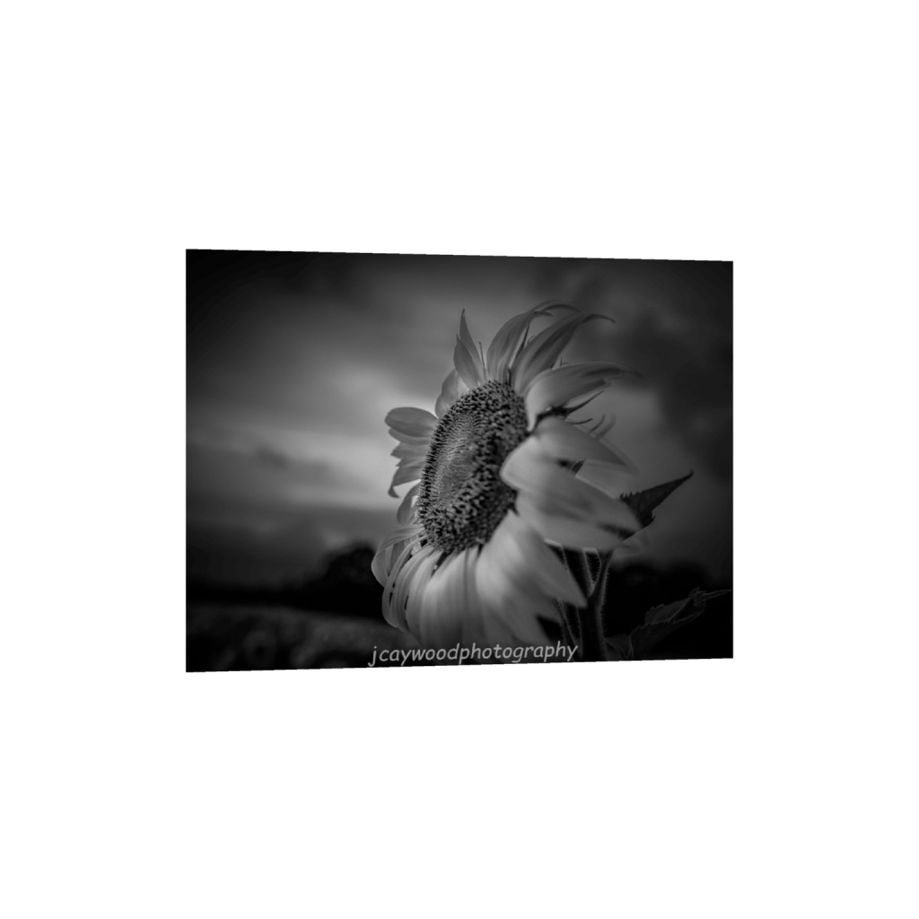 fineartprints_rectangle3_4_330_0_5354_4016_0_false_ffffff_0_0.png