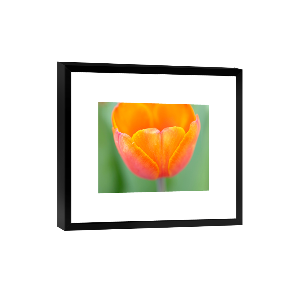 smartframe_rectangle4_5_0_465_4653_3722_0_false_ffffff_0_0.png