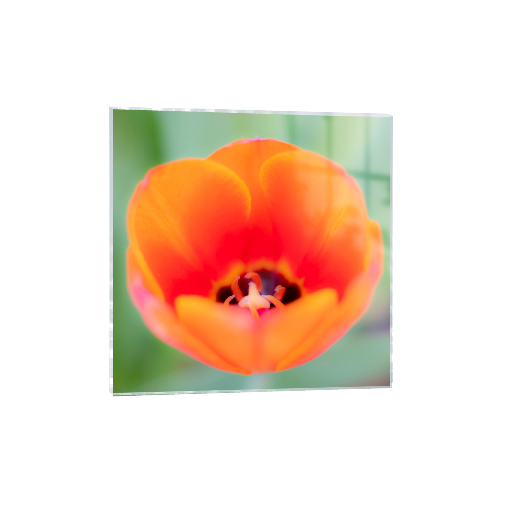 acrylicprint_square_1376_0_5504_5504_0_false_ffffff_0_0.png