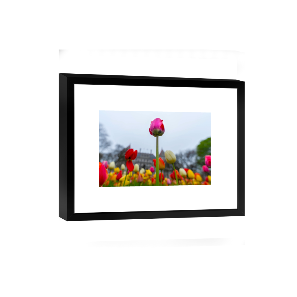 smartframe_rectangle2_3_0_2_6016_4010_0_false_ffffff_0_0.png